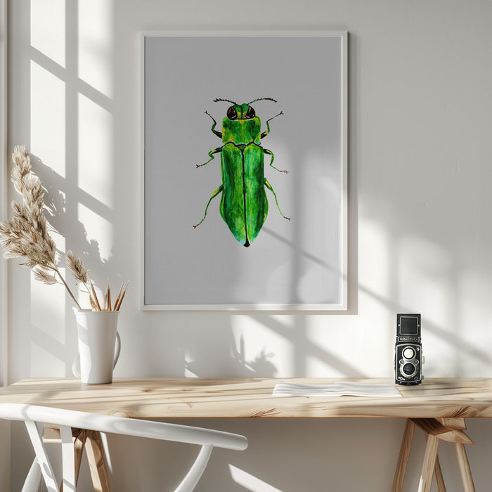 Jewel beetle or Agrilus angustulus Framed Art Modern Wall Decor