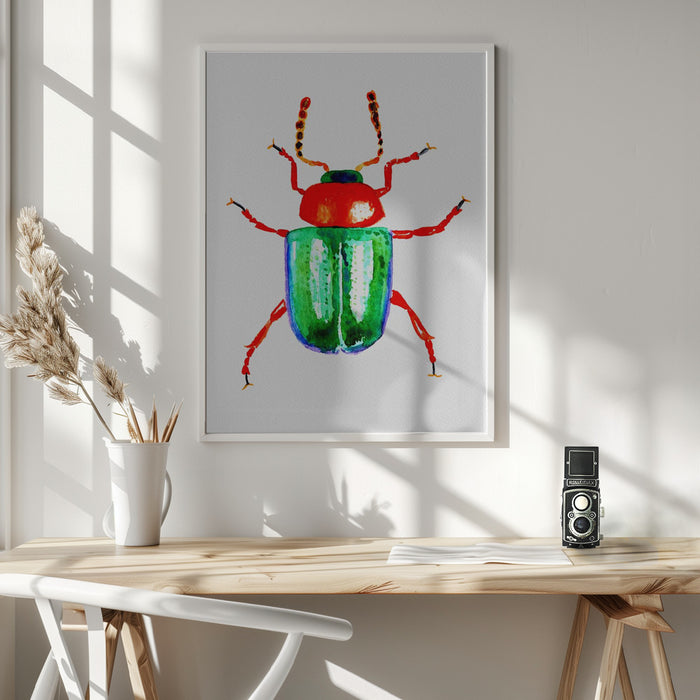 Knotweed beetle or Gastrophysa polygoni Framed Art Modern Wall Decor