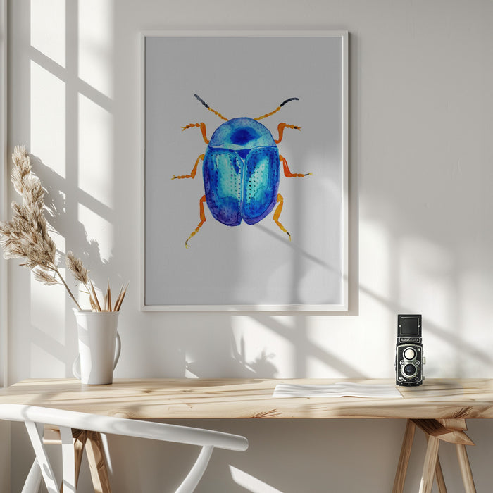 Blue leaf beetle or Colaphus sophiae Framed Art Modern Wall Decor