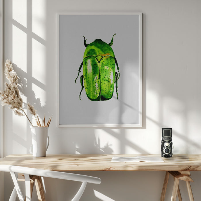 Green June beetle or Cotinis nitida Framed Art Modern Wall Decor