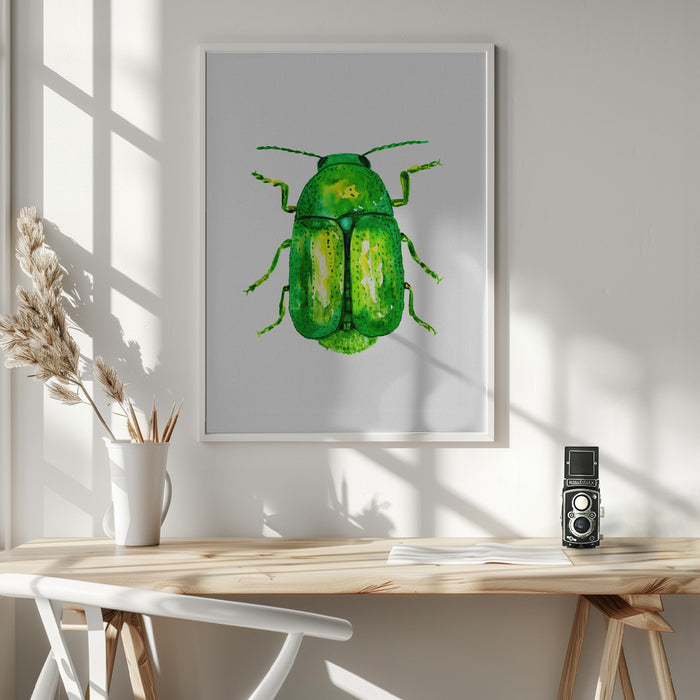 Cylindrical leaf beetle or Cryptocephalus sericeus Framed Art Modern Wall Decor