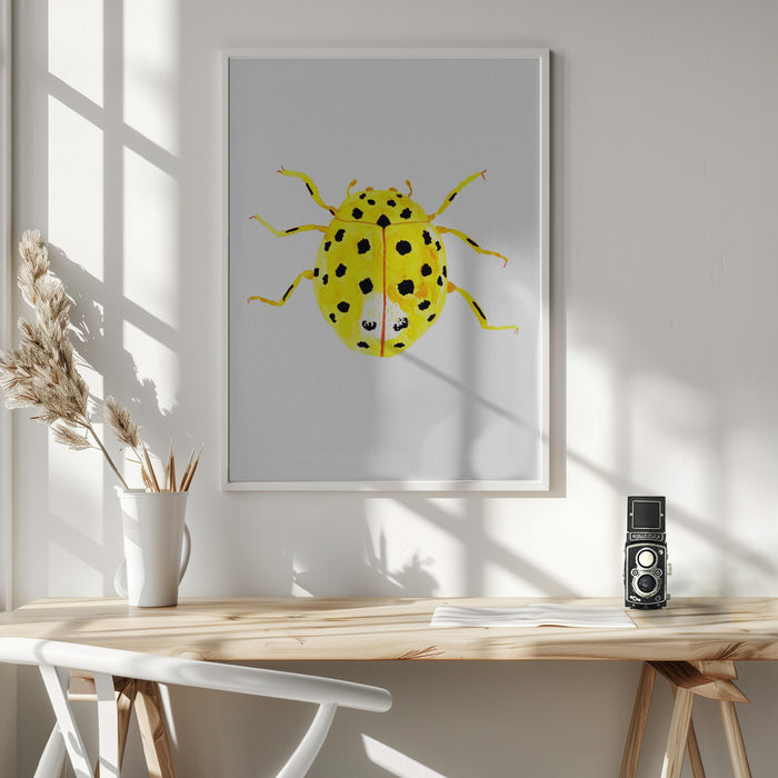 The 22-spot ladybird or Psyllobora vigintiduopunctata Framed Art Modern Wall Decor