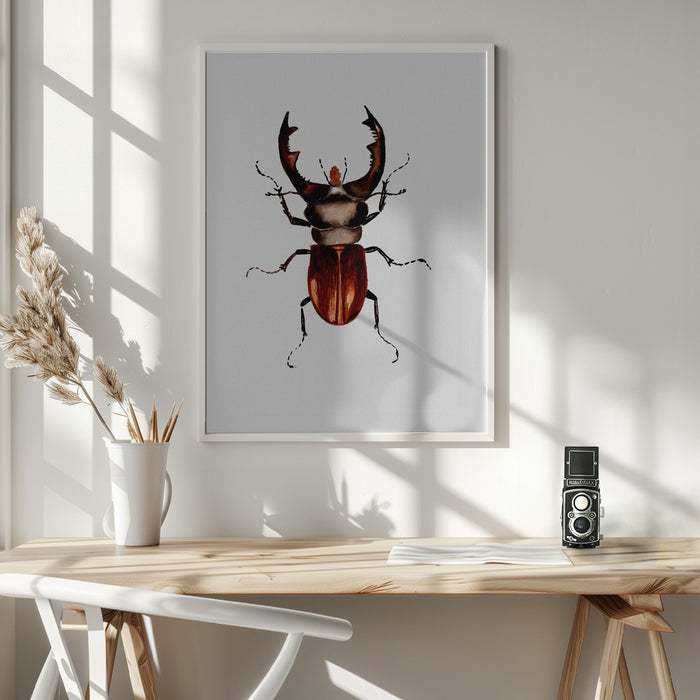 Stag beetle or Lucanus cervus Framed Art Modern Wall Decor