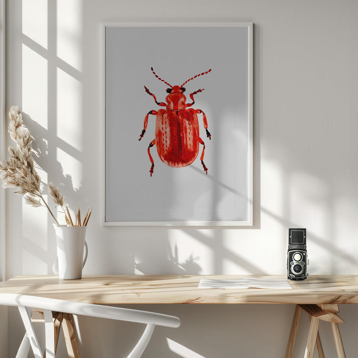 Onion beetle or Lilioceris merdigera Framed Art Modern Wall Decor