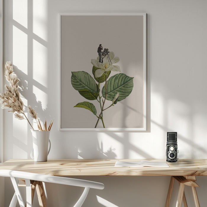 Botanical vintage cameraman Framed Art Modern Wall Decor