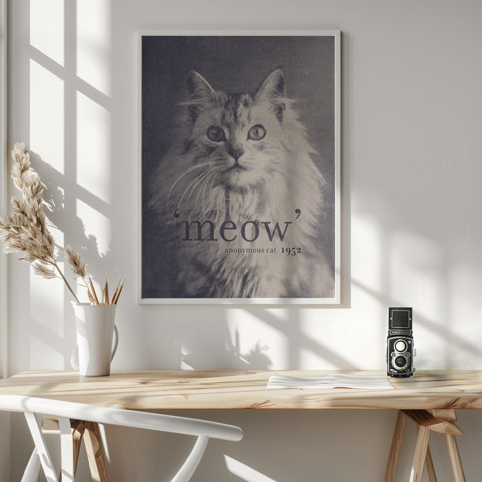 Famous Quote Cat Framed Art Modern Wall Decor