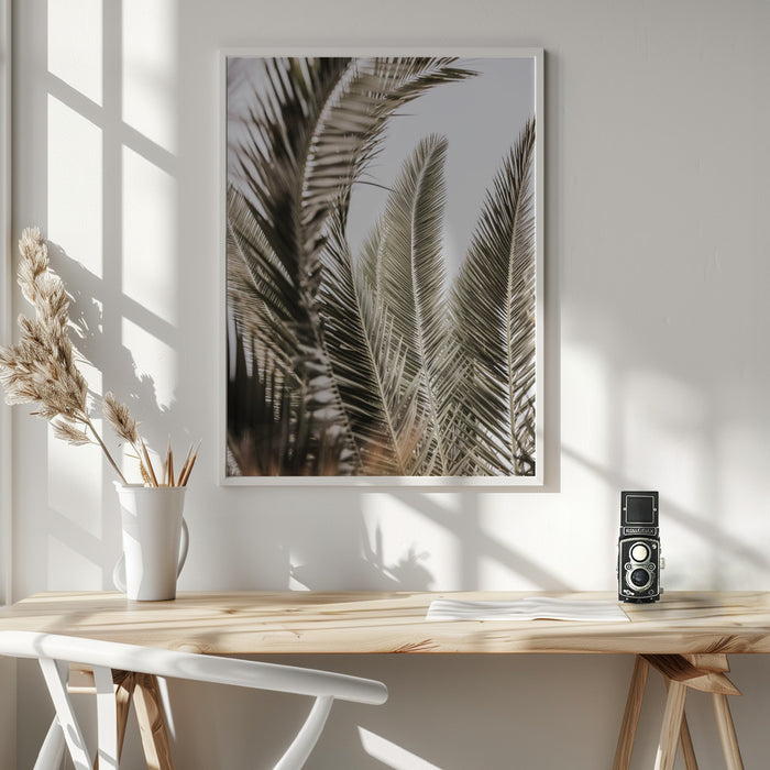 Palm Love Framed Art Modern Wall Decor