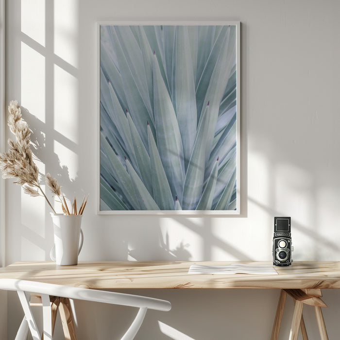 Tequilana Framed Art Wall Decor