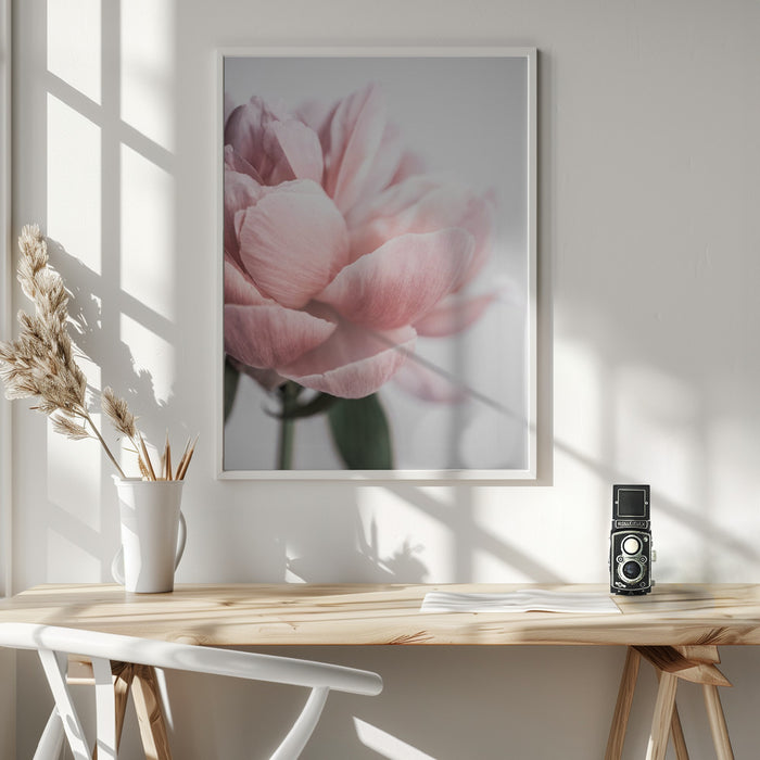 Peony 3 Framed Art Modern Wall Decor