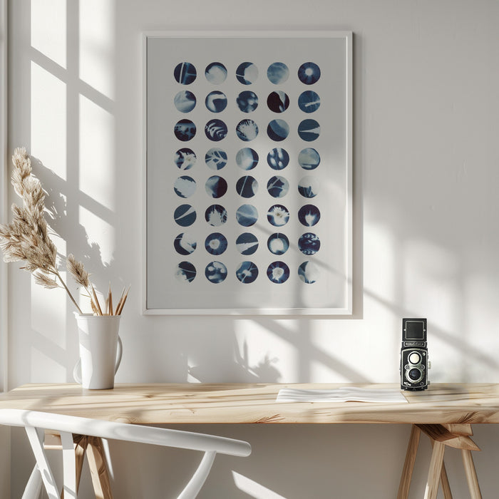 Botanical Cyanotypes Framed Art Modern Wall Decor