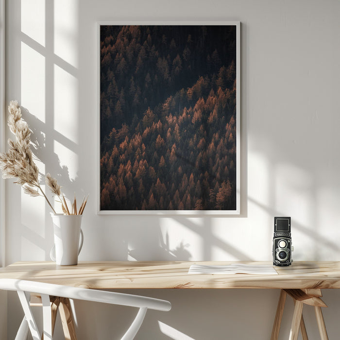 Autumn Woods 2 Framed Art Modern Wall Decor