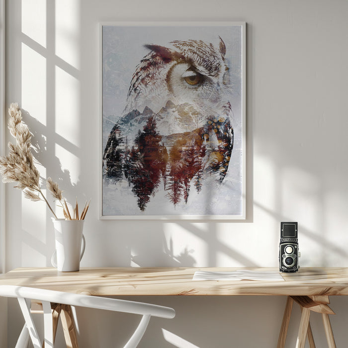 Owl Wild Animal Vintage Illustration Art 02 Framed Art Modern Wall Decor