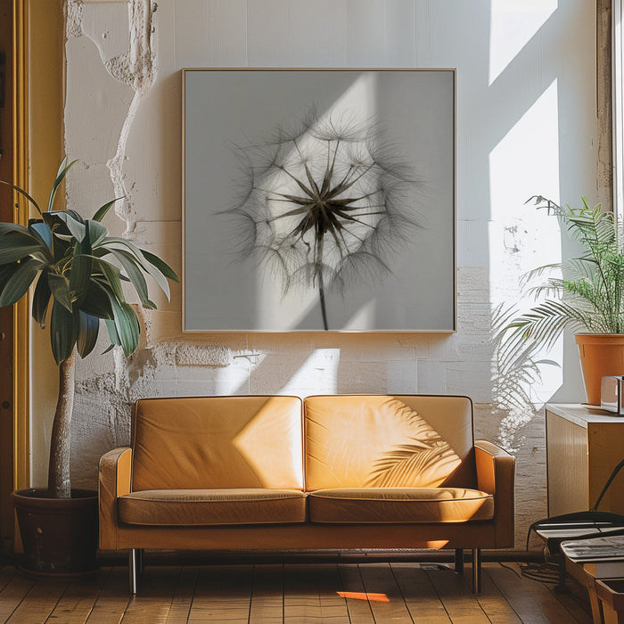 Tragopogon Square Canvas Art