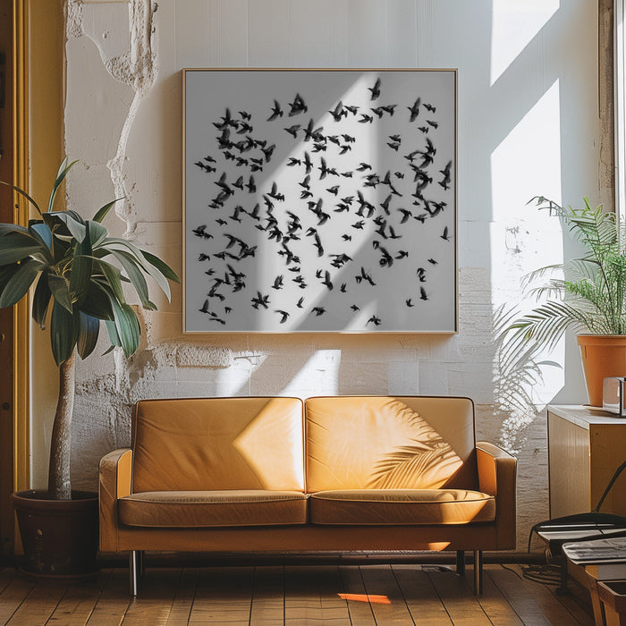 Birds Square Canvas Art