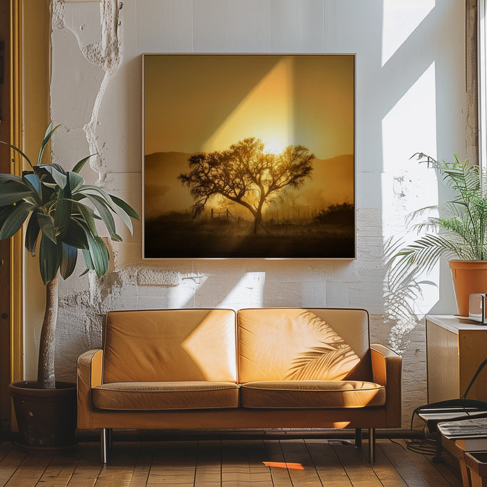 Golden Sunrise Square Canvas Art