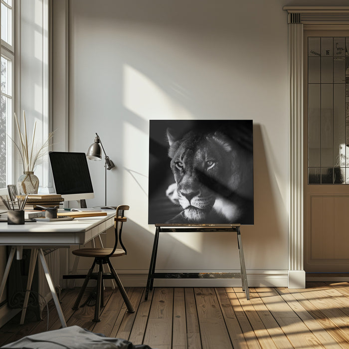 The Look Square Canvas Art Print