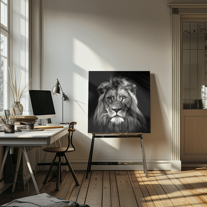 Young Male Lion Square Poster Art Print by Christian Meermann
