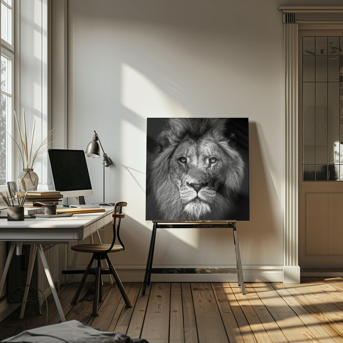 Stare Me Down #3 Square Canvas Art Print