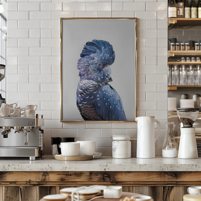 Black Cockatoo Framed Art Modern Wall Decor