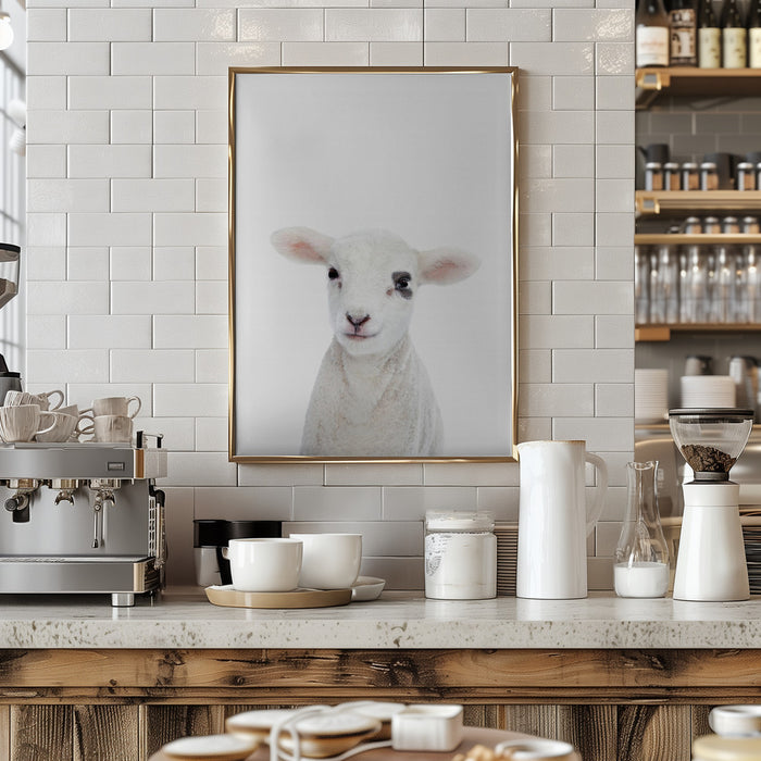 Baby Lamb Framed Art Modern Wall Decor