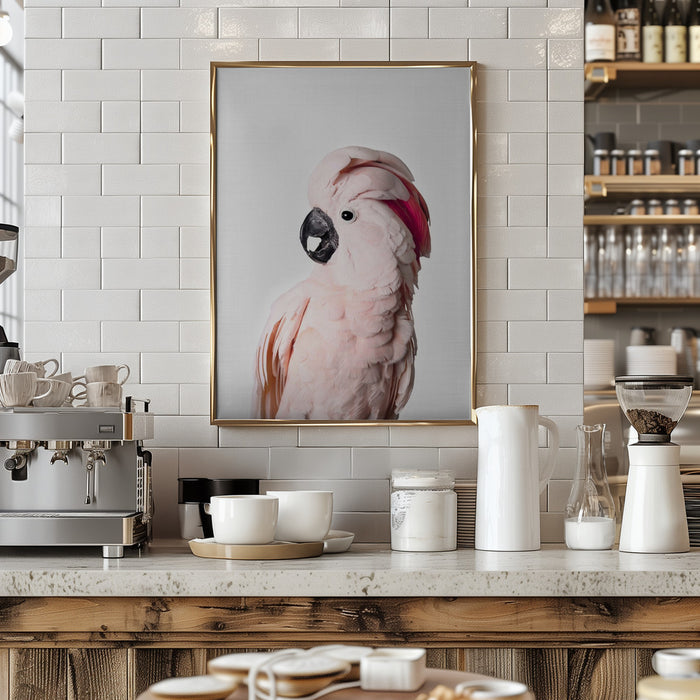 Pink Cockatoo Framed Art Modern Wall Decor