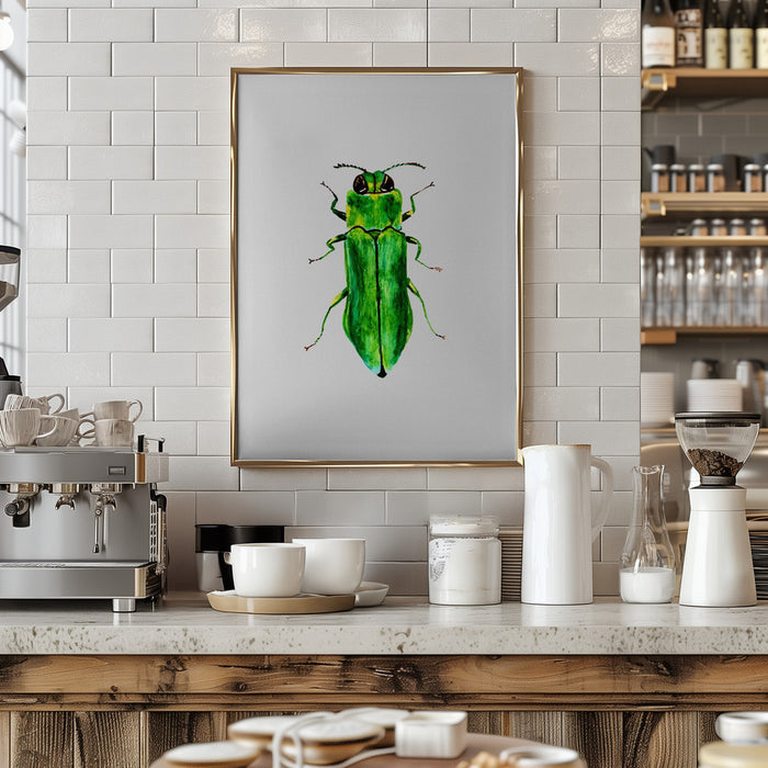 Jewel beetle or Agrilus angustulus Framed Art Modern Wall Decor