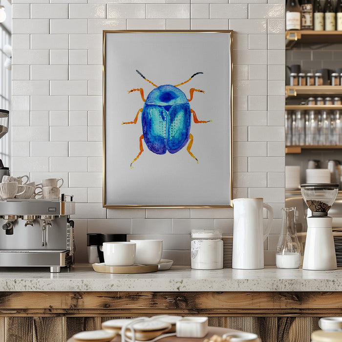 Blue leaf beetle or Colaphus sophiae Framed Art Modern Wall Decor