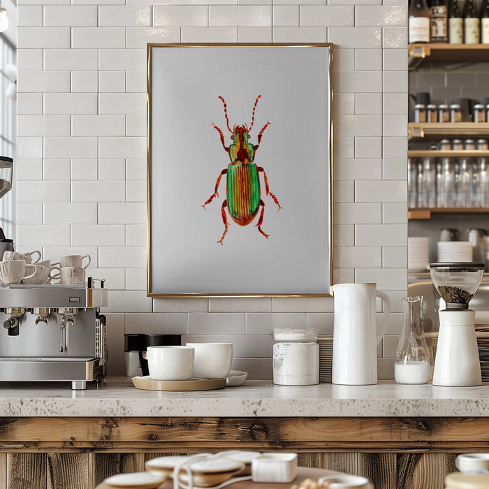 Carabidae ground beetle or Harpalus distinguendus Framed Art Modern Wall Decor