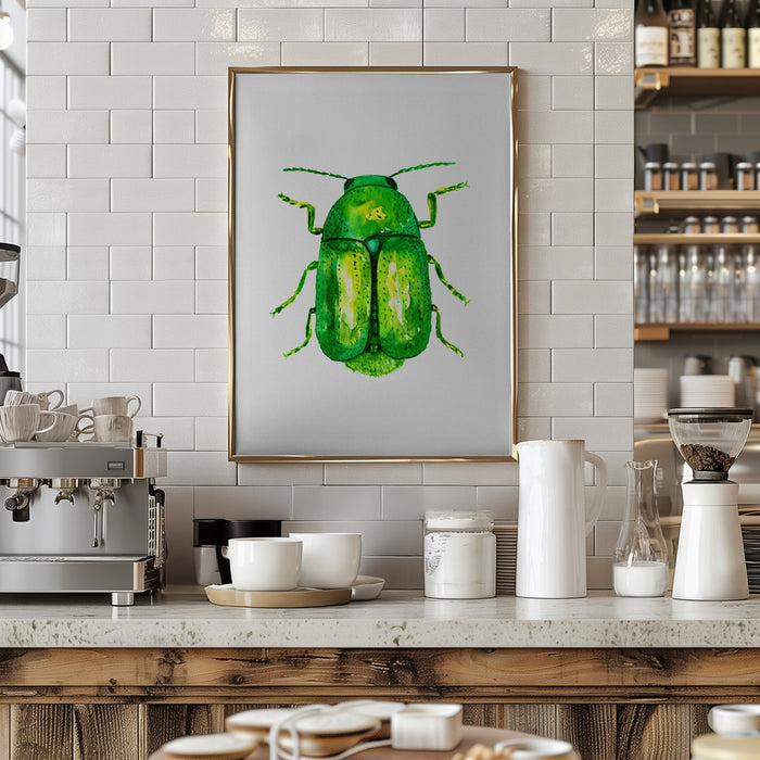 Cylindrical leaf beetle or Cryptocephalus sericeus Framed Art Modern Wall Decor