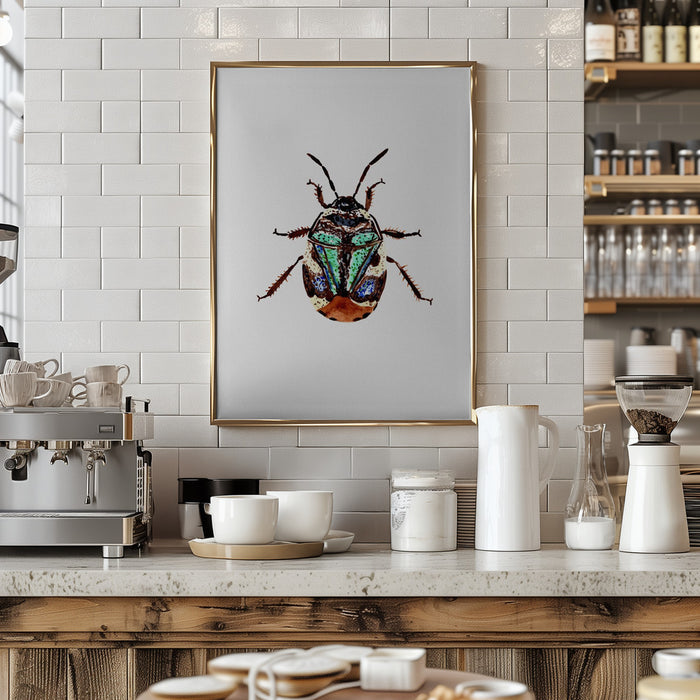 Pied shield bug or Tritomegas bicolor Framed Art Modern Wall Decor