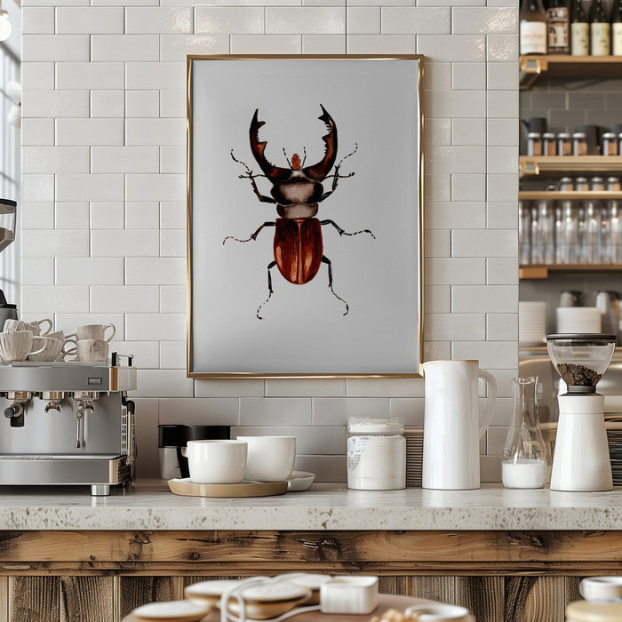 Stag beetle or Lucanus cervus Framed Art Modern Wall Decor