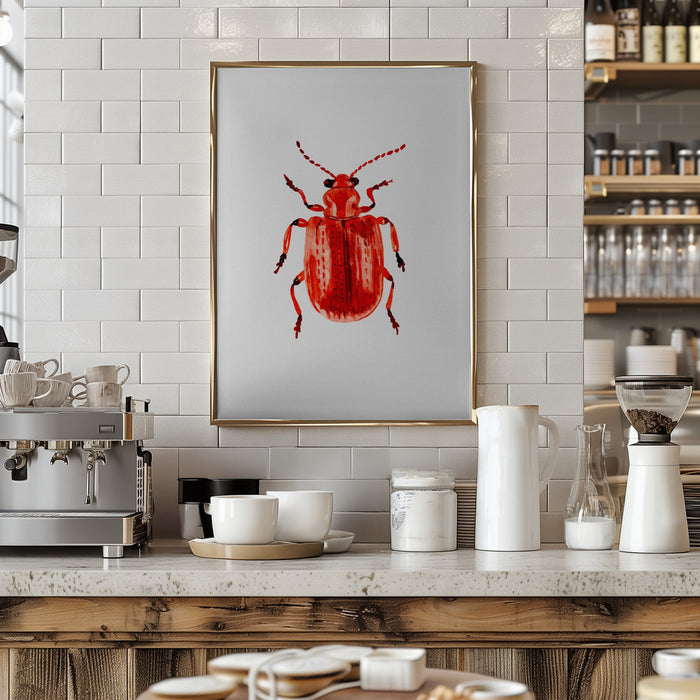 Onion beetle or Lilioceris merdigera Framed Art Modern Wall Decor