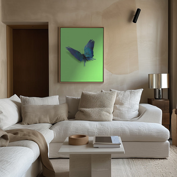 Parrot Butterfly Framed Art Modern Wall Decor