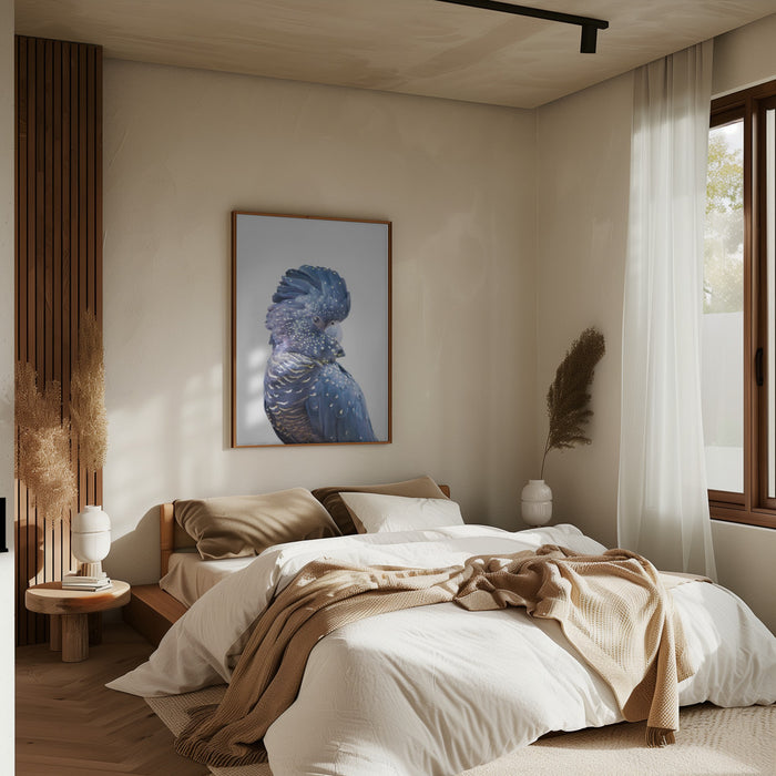 Black Cockatoo Framed Art Modern Wall Decor