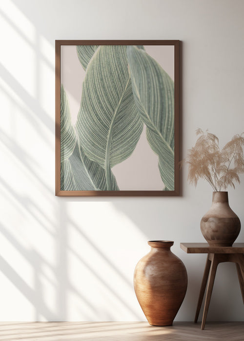 Calla Leaf Framed Art Modern Wall Decor