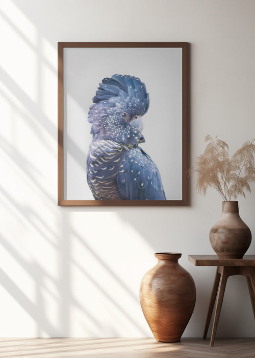 Black Cockatoo Framed Art Modern Wall Decor