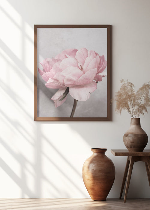 Peony Framed Art Modern Wall Decor