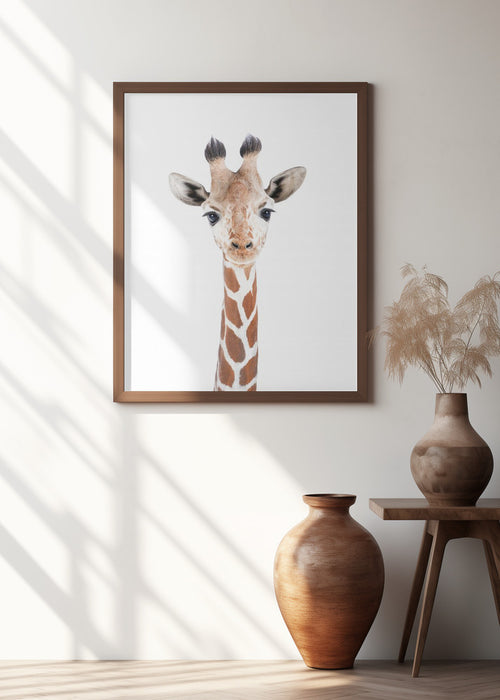 Baby Giraffe Framed Art Modern Wall Decor