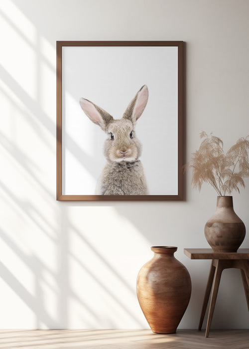 Baby Rabbit Framed Art Modern Wall Decor