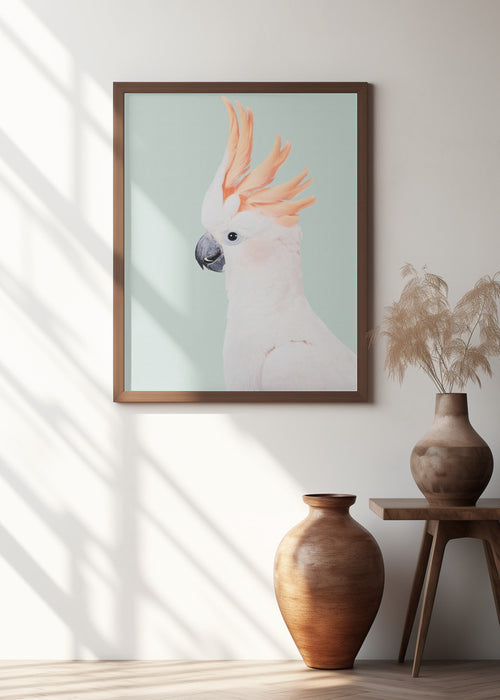 Cockatoo Framed Art Modern Wall Decor