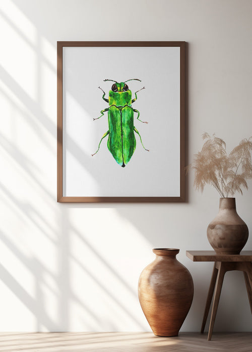 Jewel beetle or Agrilus angustulus Framed Art Modern Wall Decor