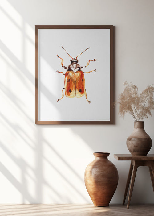 Another leaf beetle the Cryptocephalus cordiger Framed Art Modern Wall Decor