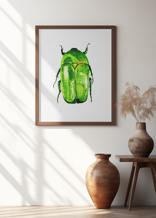 Green June beetle or Cotinis nitida Framed Art Modern Wall Decor