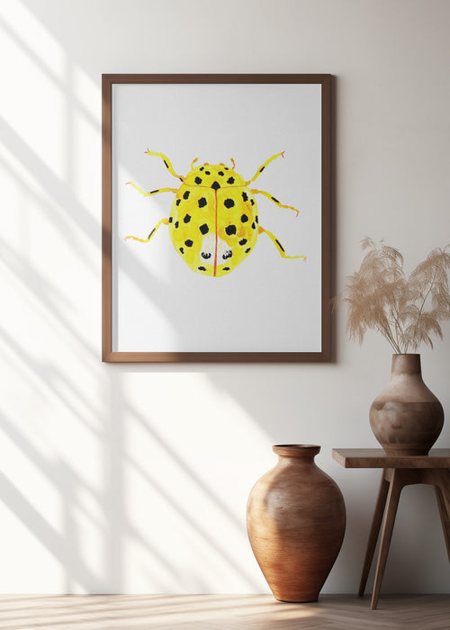 The 22-spot ladybird or Psyllobora vigintiduopunctata Framed Art Modern Wall Decor