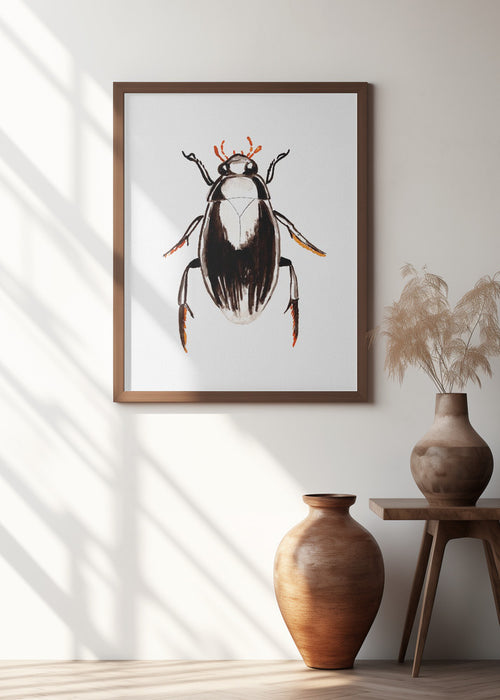 Water scavenger beetle or Hydrophilus aterrimus Framed Art Modern Wall Decor