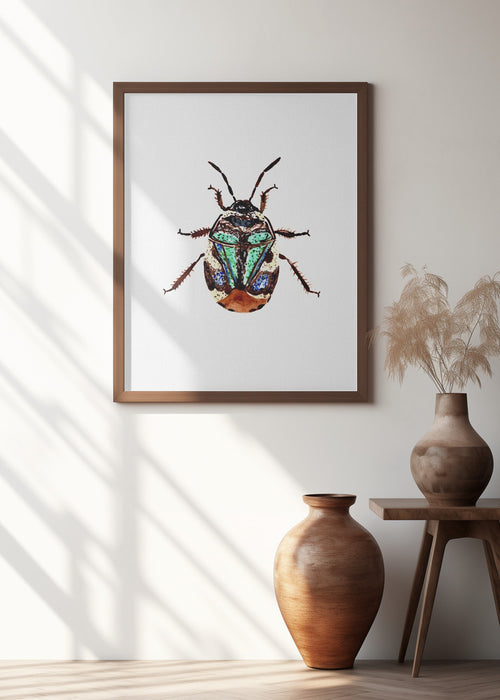 Pied shield bug or Tritomegas bicolor Framed Art Modern Wall Decor