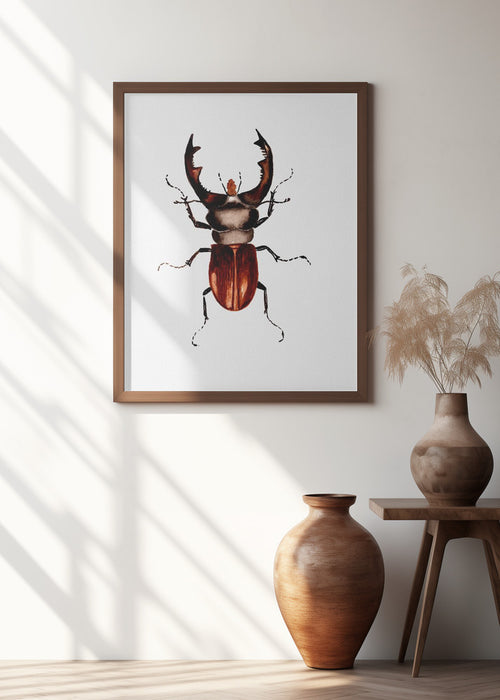 Stag beetle or Lucanus cervus Framed Art Modern Wall Decor