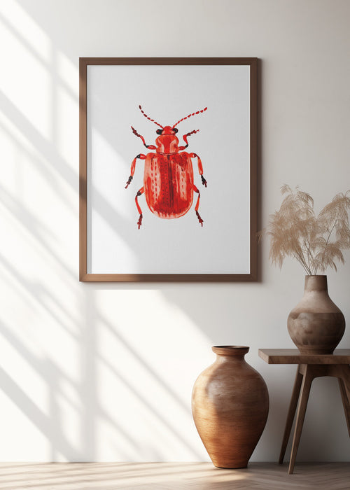 Onion beetle or Lilioceris merdigera Framed Art Modern Wall Decor