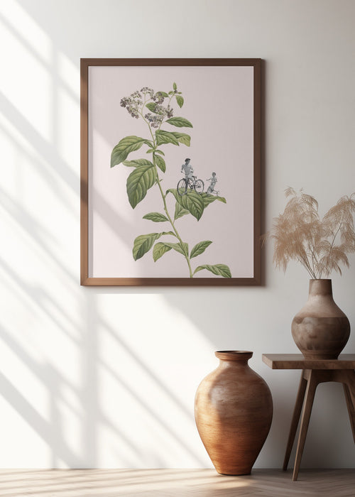 Botanical cycling Framed Art Modern Wall Decor