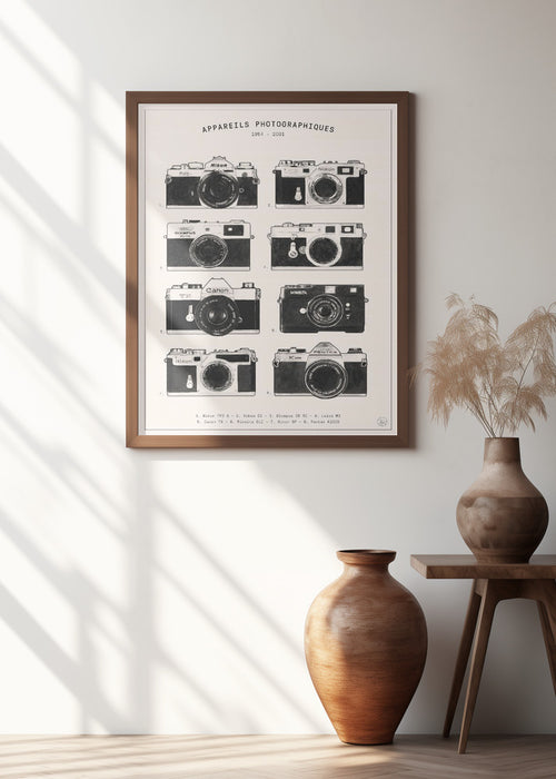 Appareils Photographiques Framed Art Modern Wall Decor